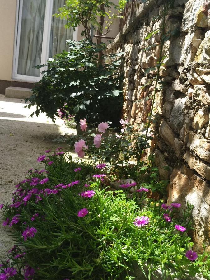 Istrianka Apartment بولا المظهر الخارجي الصورة